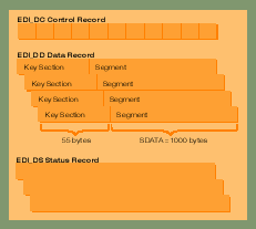 IDOC STRUCTURE