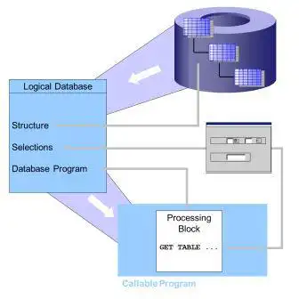 SAP ABAP Logical database components structure