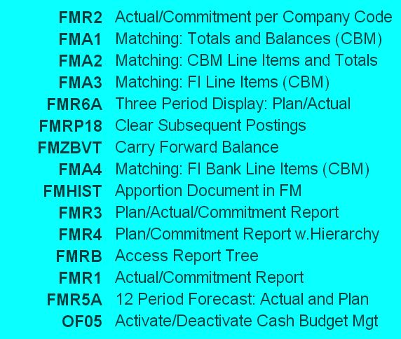 sap treasury cash budget management transaction codes