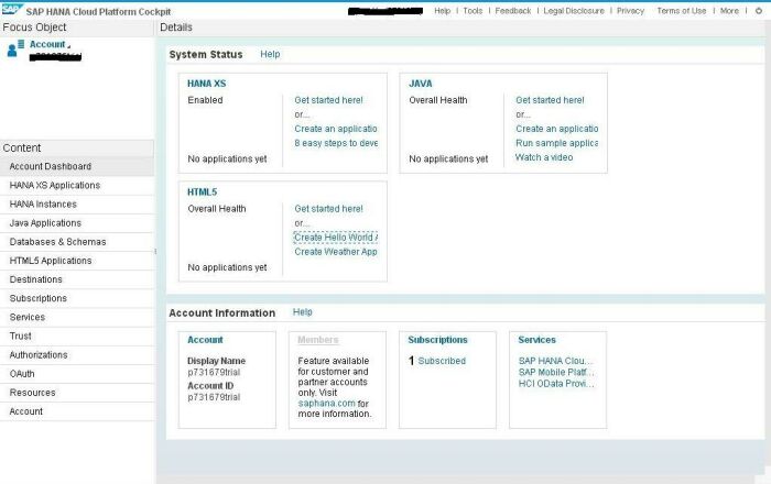 SAP HANA Cloud Platform initial screen