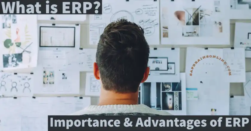 What is ERP system? Importance & Advantages of ERP