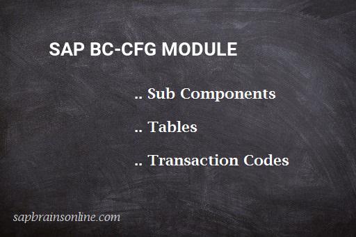 SAP BC-CFG module