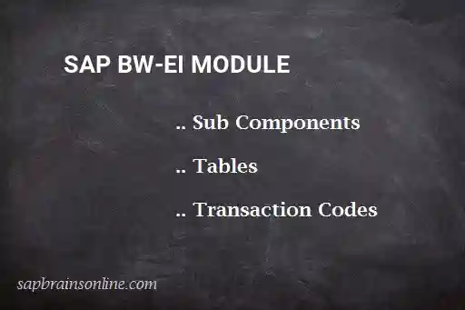 SAP BW-EI module
