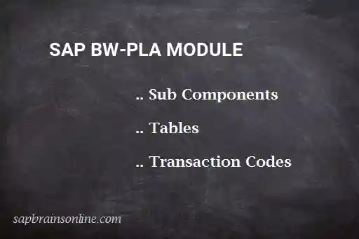 SAP BW-PLA module