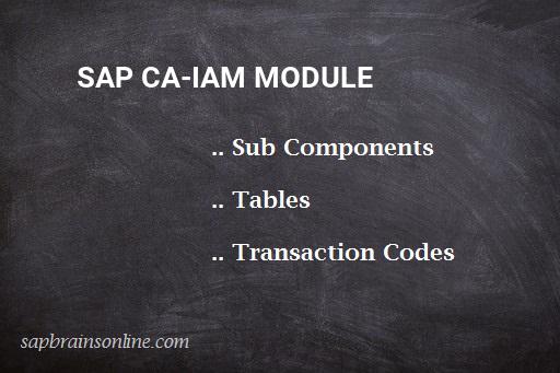 SAP CA-IAM module