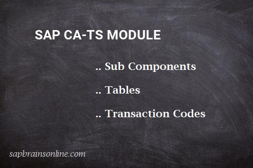 SAP CA-TS module