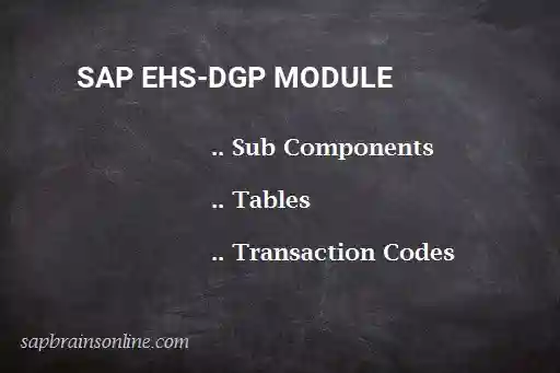 SAP EHS-DGP module