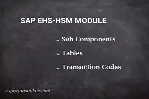 SAP EHS-HSM module