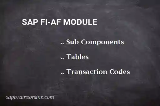 SAP FI-AF module