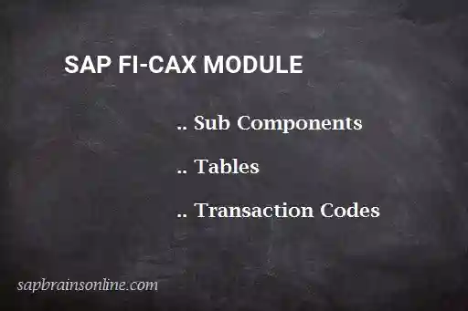 SAP FI-CAX module