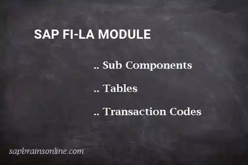 SAP FI-LA module
