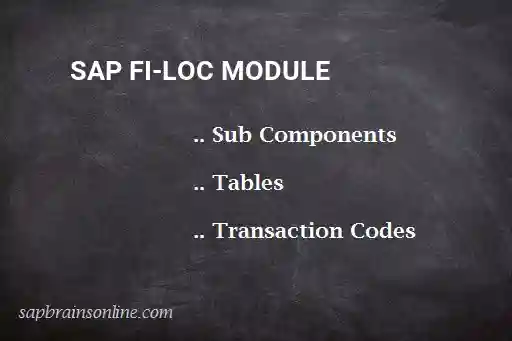SAP FI-LOC module