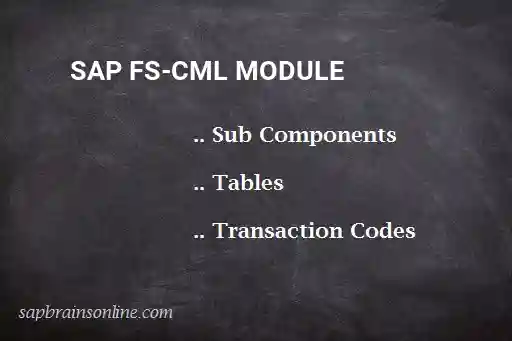 SAP FS-CML module