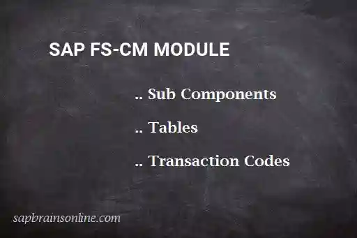 SAP FS-CM module