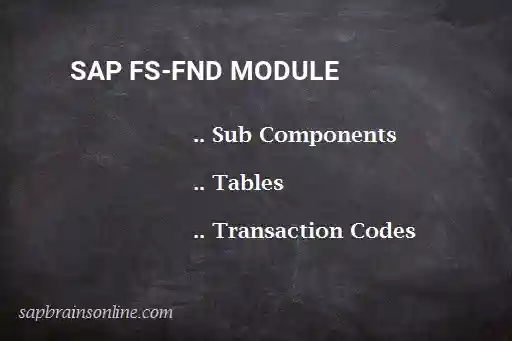 SAP FS-FND module