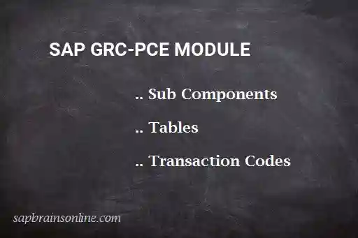 SAP GRC-PCE module