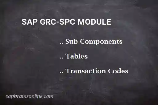 SAP GRC-SPC module