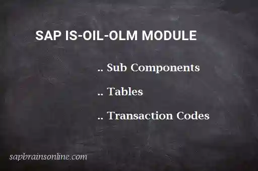SAP IS-OIL-OLM module