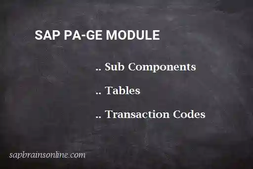 SAP PA-GE module