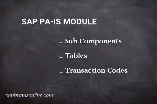 SAP PA-IS module