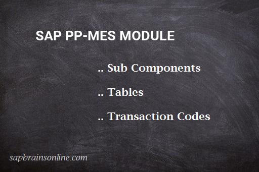 SAP PP-MES module