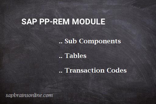 SAP PP-REM module