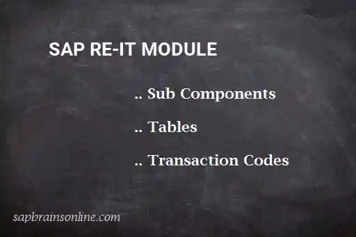 SAP RE-IT module