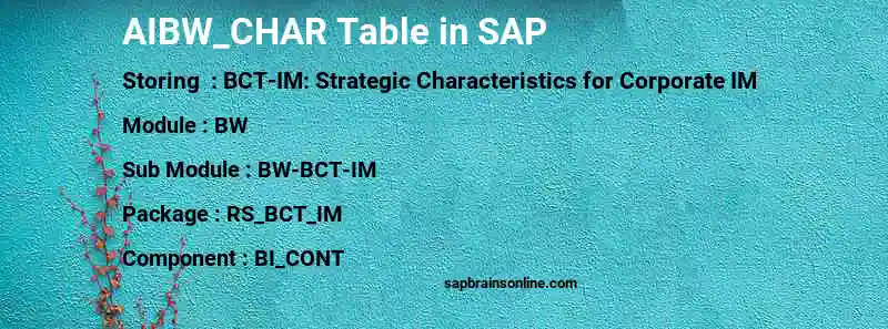 SAP AIBW_CHAR table