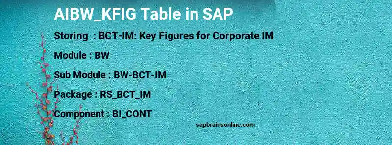 SAP AIBW_KFIG table