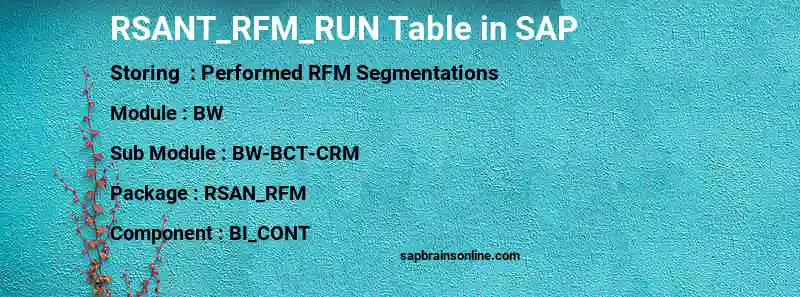 SAP RSANT_RFM_RUN table