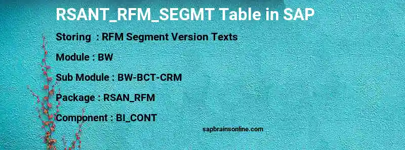 SAP RSANT_RFM_SEGMT table