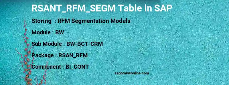 SAP RSANT_RFM_SEGM table