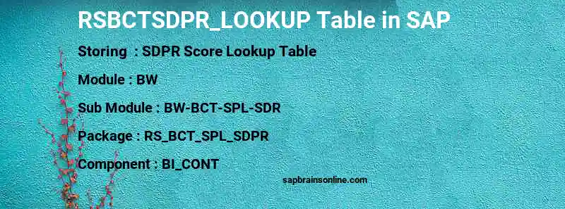 SAP RSBCTSDPR_LOOKUP table