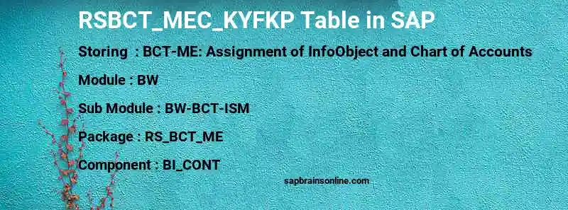 SAP RSBCT_MEC_KYFKP table