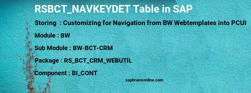 SAP RSBCT_NAVKEYDET table
