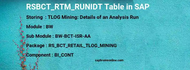 SAP RSBCT_RTM_RUNIDT table