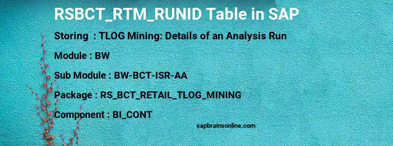 SAP RSBCT_RTM_RUNID table