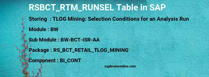 SAP RSBCT_RTM_RUNSEL table