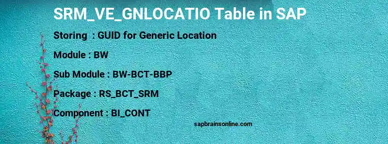 SAP SRM_VE_GNLOCATIO table
