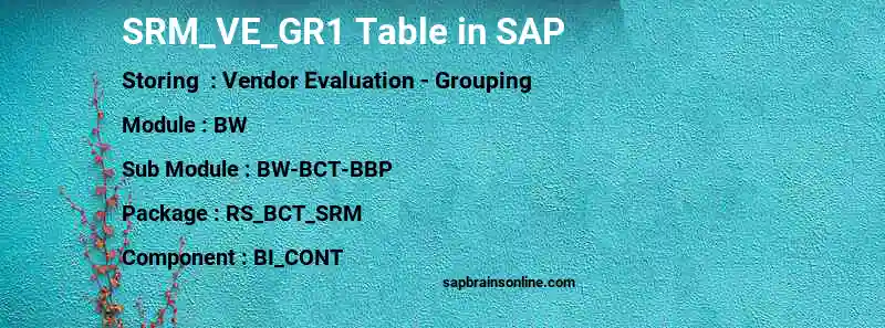 SAP SRM_VE_GR1 table