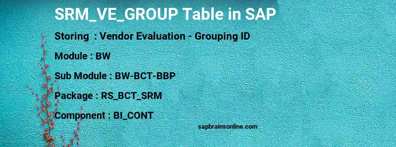 SAP SRM_VE_GROUP table