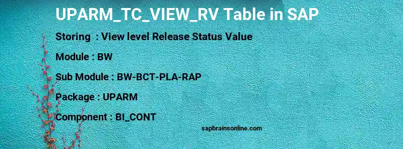 SAP UPARM_TC_VIEW_RV table