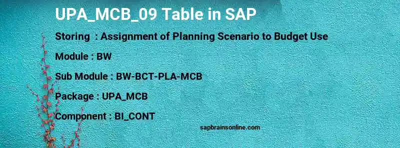 SAP UPA_MCB_09 table