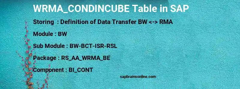 SAP WRMA_CONDINCUBE table
