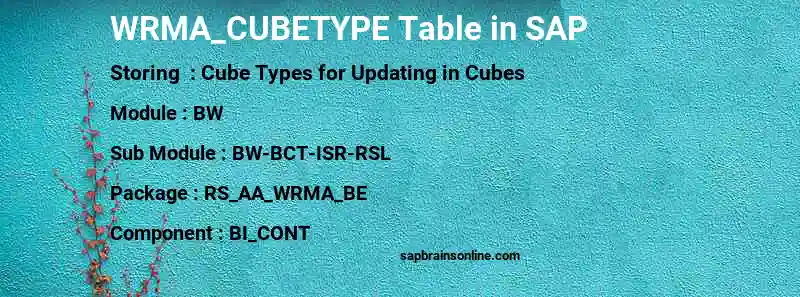 SAP WRMA_CUBETYPE table