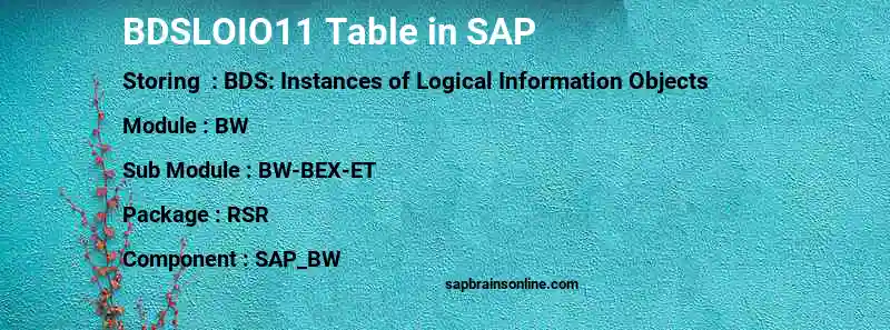 SAP BDSLOIO11 table