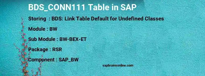 SAP BDS_CONN111 table
