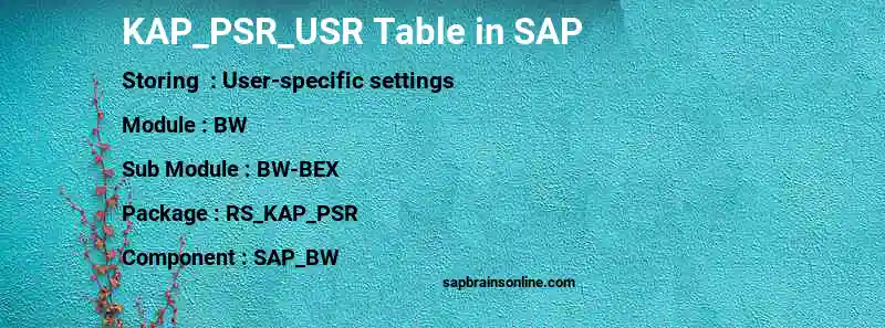 SAP KAP_PSR_USR table