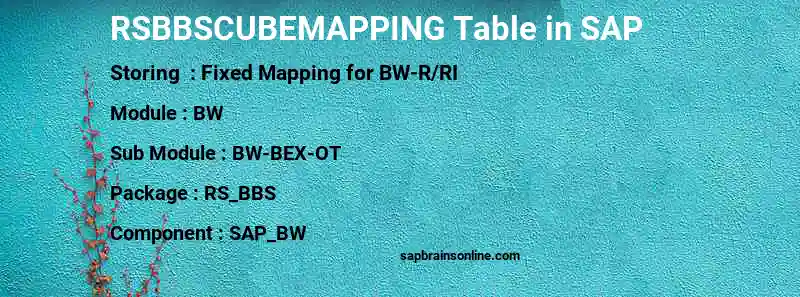 SAP RSBBSCUBEMAPPING table