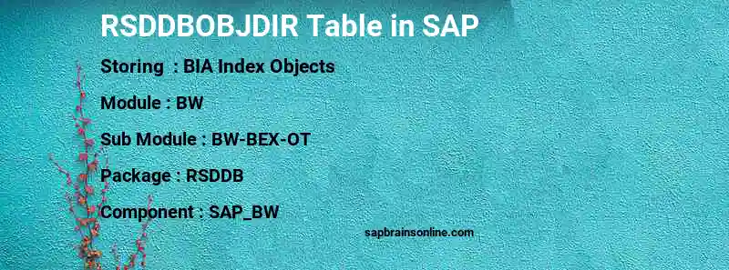 SAP RSDDBOBJDIR table